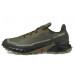 Кроссовки Salomon Alphacross 5 GORE-TEX