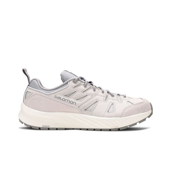 Кроссовки Odyssey Advanced Salomon, серый