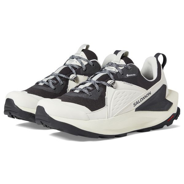 Треккинговые кроссовки Salomon Elixir Gore-Tex, черный/белый