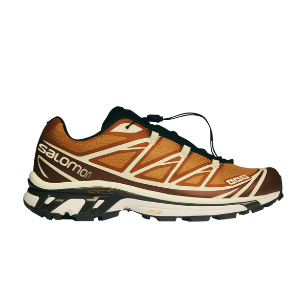 Кроссовки END. x XT-6 Salomon, коричневый